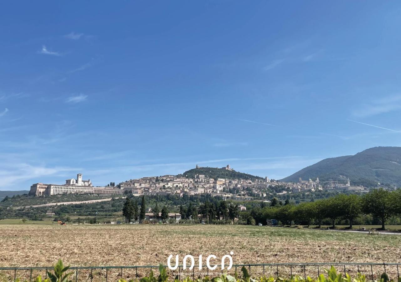 Bed and Breakfast Unica Assisi Agri-Charming House Exterior foto